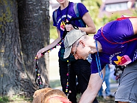 Adoptuj Warszawiaka  Wydarzenie promujące adopcję zwierząt. Organizator: Schronisko dla Bezdomnych Zwierząt "Na Paluchu". 18 sierpnia 2019, Park Raszyński w Raszynie. : park raszyński, adoptuj warszawiaka, na paluchu, schronisko dla zwierząt, centrum warszawy, raszyn